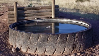 Житель Хвалынского района утонул в колесе от трактора Житель Хвалынского района утонул в колесе от трактора