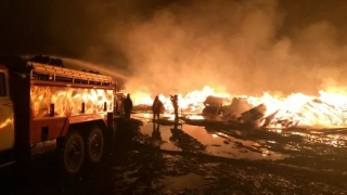 В Алгайском районе кошара выгорела на площади более 1000 кв.м В Алгайском районе кошара выгорела на площади более 1000 кв.м