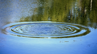 ��������� ��� � ������ ����� �� ����: �������� ������� �������� � ��������� ���������