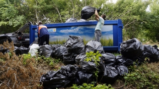 ����������-������� ������� ������� � ������������� ����� �� ������� ������ ��������