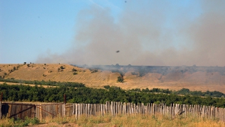 Под Саратовом тушат крупный пожар в лесу, огонь приблизился к домам