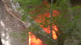 � ��������� ������ ��������� ����������� ���