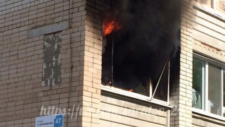 � �������� ������ ���� �� ������� ������ 5 �������� ��������