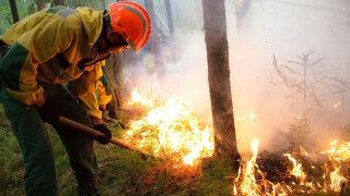 ГУ МЧС объявило о ликвидации природного пожара под Красноармейском