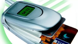 Саратовец 1,5 года похищал деньги у невнимательной жительницы Саранска Саратовец 1,5 года похищал деньги у невнимательной жительницы Саранска