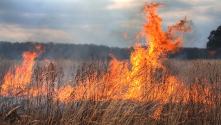 �������� �������� � ����� ������ ����������� ���