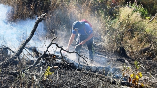 Обнародованы фото после масштабного пожара в лесах под Красноармейском