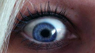 Саратовцев напугали звуки взрывов в центре города Саратовцев напугали звуки взрывов в центре города