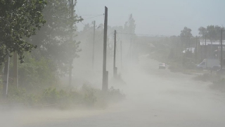 �� �������� ������ ������� ����