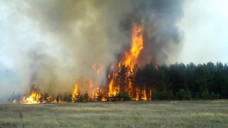 В Саратовской области за сутки произошло более 200 пожаров
