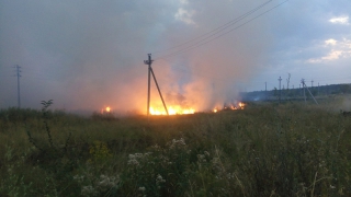 Площадь пожара в Пугачеве составила 10 тысяч кв.м. Тушение продолжается
