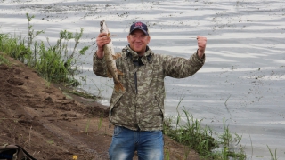 � �������� ������������� ������� �� ����� ����