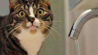 � ������� ��������� � �� 8 ������ ������� ����������� �� ����