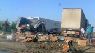 В Саратовском районе после ДТП с грузовиками дорогу покрыло раками