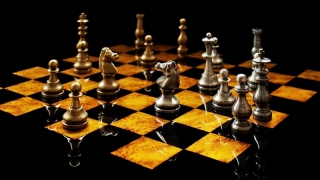 Областная федерация шахмат сохранила президента и удвоила президиум