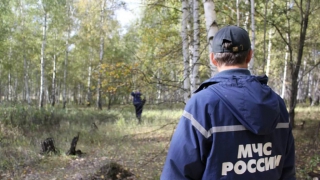 В лесах Ленинградской области спасли саратовчанку с двумя детьми В лесах Ленинградской области спасли саратовчанку с двумя детьми