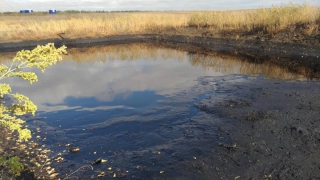Прокуратура: Ущерб от нефтяного озера под Красноармейском составил 1 млн рублей