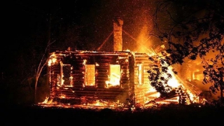 ������ ����� ���� ����� 5-������� �������� � �������