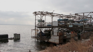 ������������� �������� �� ����� �������� ��������� �������� ���� � ����������