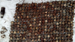 В Саратовском районе нашли взрывоопасные части боеприпасов В Саратовском районе нашли взрывоопасные части боеприпасов