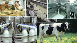 В Саратовской области зафиксирован обвал в производстве молочной продукции