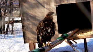 � ������������ ����� ����������� ��������� ���������� ������ �����