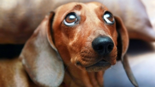 ���������� ����� �� �������� ����������� ����� ��-�� ��������� �� �������