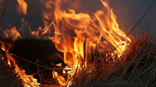 � �������������� ������ ������� 2 ������ ����� � �������