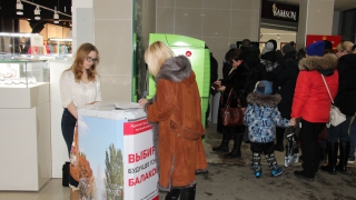 � �������� ����������� �� ��������������� ����� �������� � �������� �������