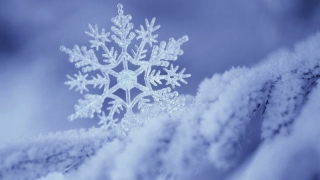 Гидрометцентр: На Саратов обрушилось наибольшее количество снега в регионе