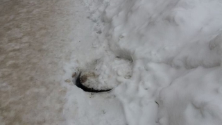 ������ �������� �������� ������ �������� ��������