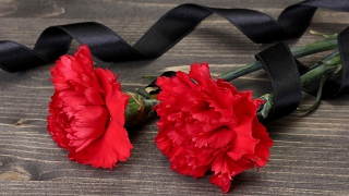 ����������� ������ ���������� ������������ �������� ������������ ���������