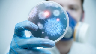 � ����������� ������� ������ ����������� �����