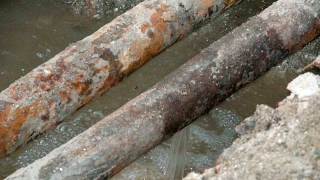 � ��������� ����������� ������������ �� ������ ���������� ���� � ���������