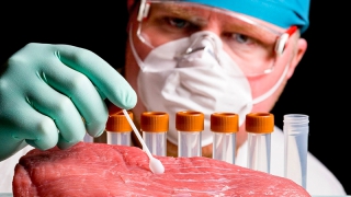 В Саратовской области искали радиоактивное мясо В Саратовской области искали радиоактивное мясо