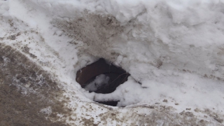 ������ �������� ����� ����� 50 �������� �����-�������