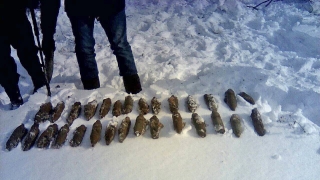 Под Саратовом уничтожили партию взрывоопасных снарядов Под Саратовом уничтожили партию взрывоопасных снарядов