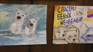 Саратовцы устроили выставку рисунков и игрушек в защиту белых медведей