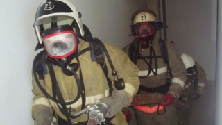 � ������ �� ������ ������� ������� � �������