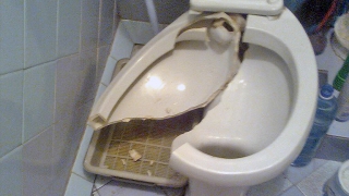 Саратовец получил травму ягодицы при падении на унитаз Саратовец получил травму ягодицы при падении на унитаз