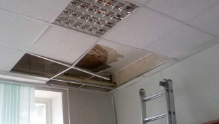 В администрации Вольского района протекла крыша В администрации Вольского района протекла крыша