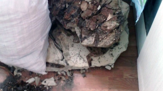 � �������� �� ����� ��������� ��������� �������