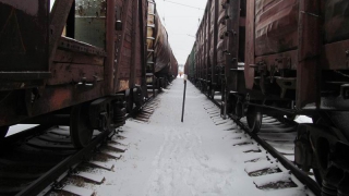 � �������� ����� ���� 18-������� �����