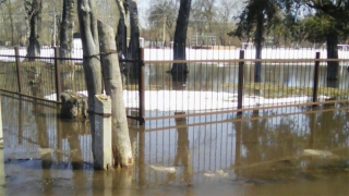 В Петровске затопило горпарк. Вода подходит к жилым домам