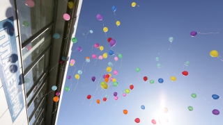 ����������� ���������� ����������� �������� ���������� �� ���� ������������