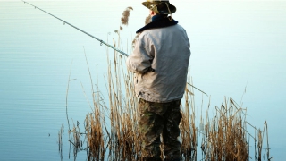 Саратовцам запретили ловить рыбу с лодок Саратовцам запретили ловить рыбу с лодок