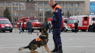 На Театральной площади спасатель с собакой искал людей под «завалами»