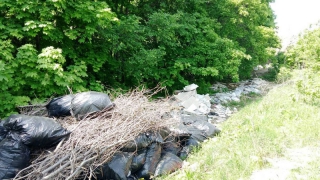 Территория будущего парка у пруда Семхоз зарастает мусором
