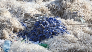 � �������� ����� �������� ���������� ���������