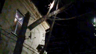 Возле дома на Московской спасатели сняли упавшее на провода дерево